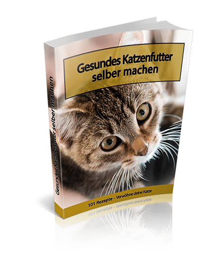 Katzenfutter Buch